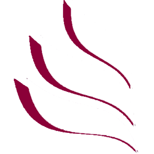 Zenda Technologies Logo